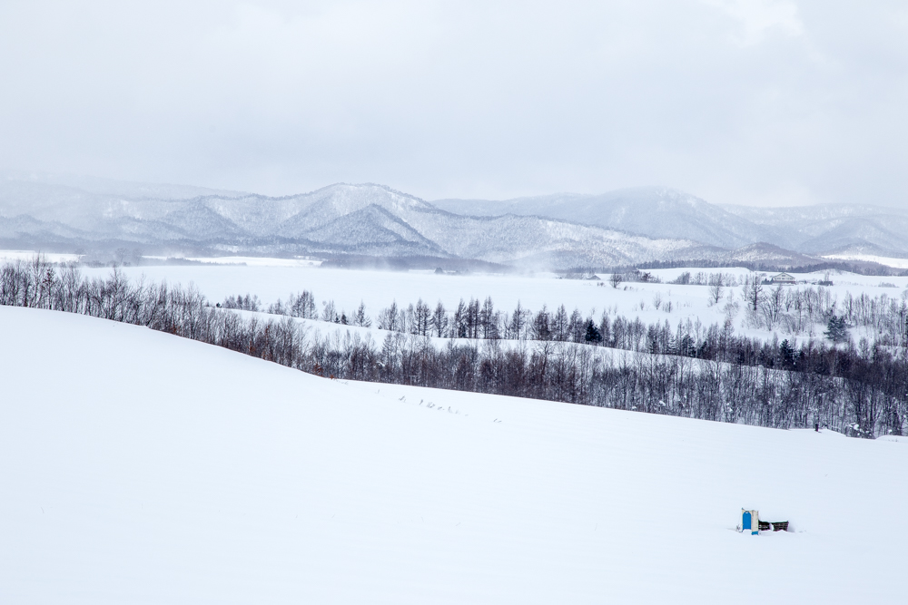 北海道自助遊攻略