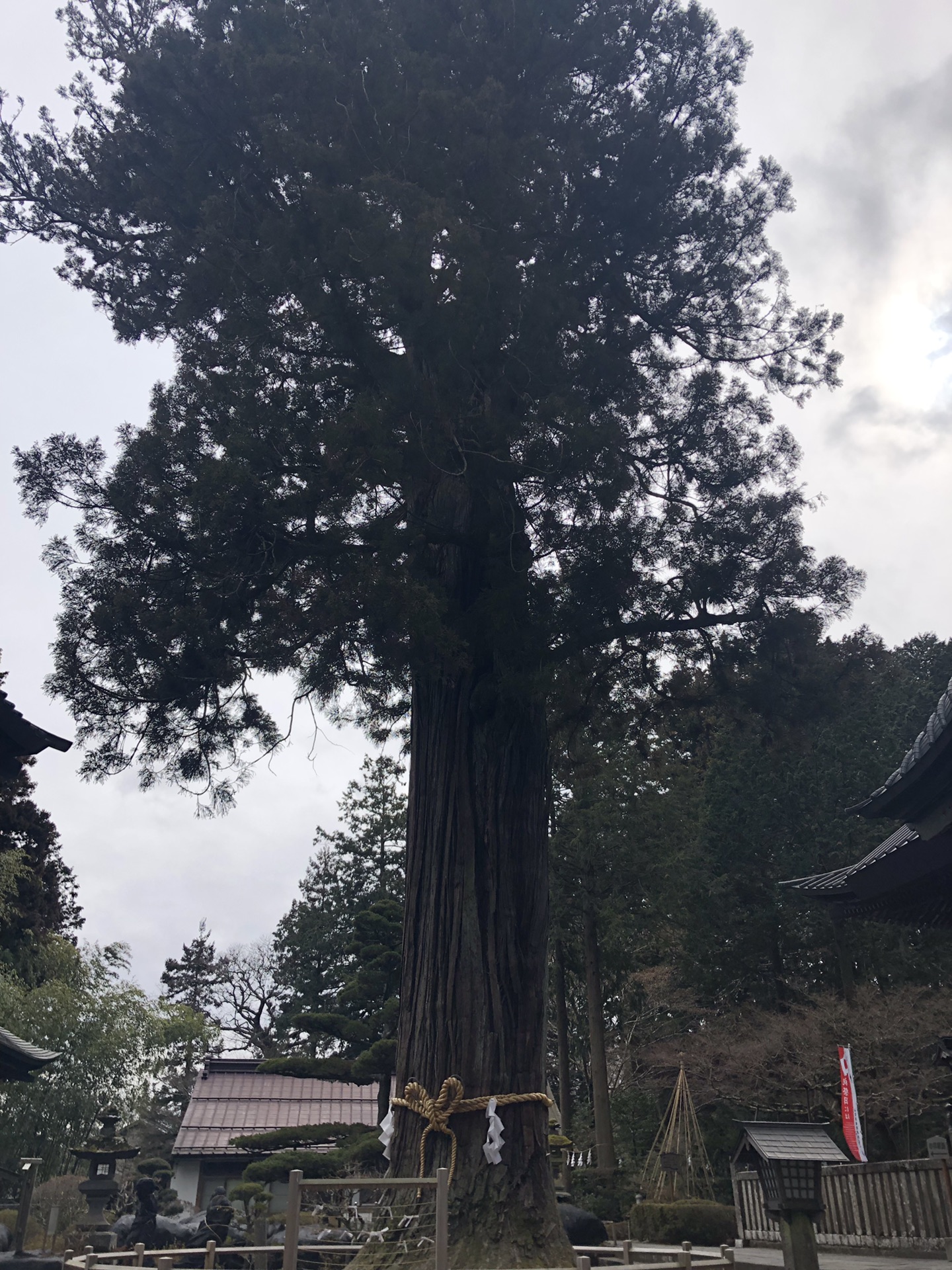 富士山自助遊攻略