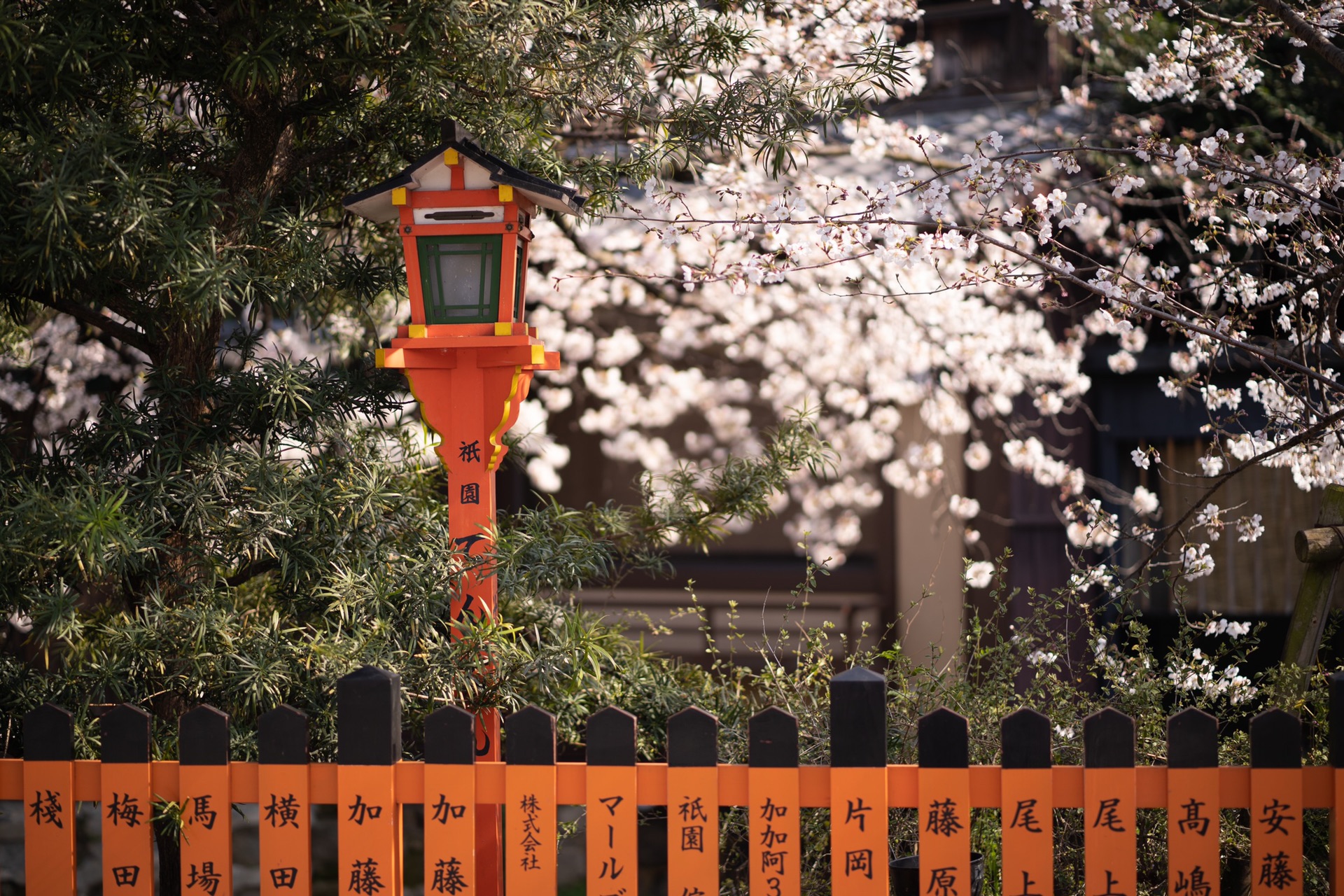 京都自助遊攻略