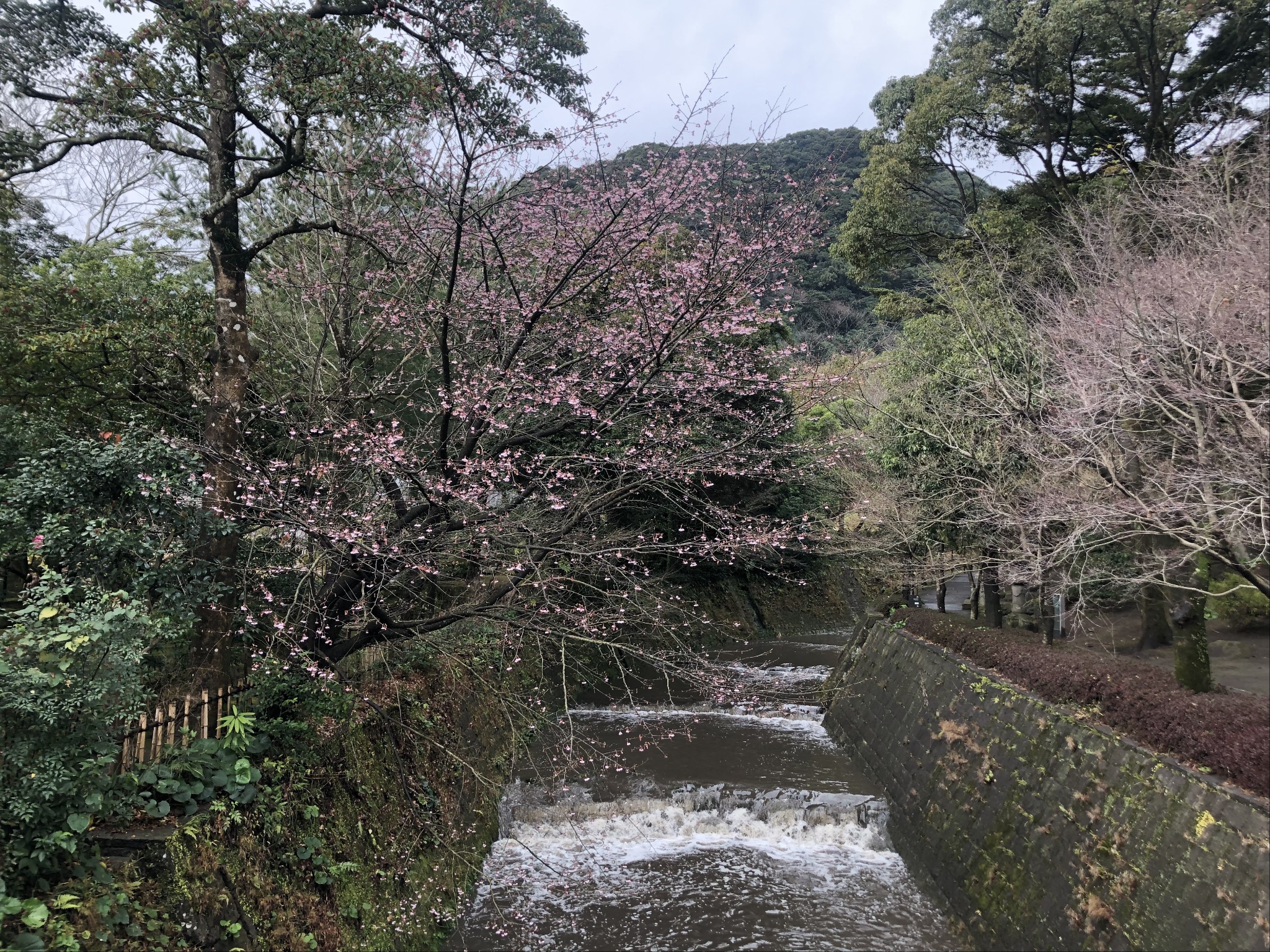 九州自助遊攻略