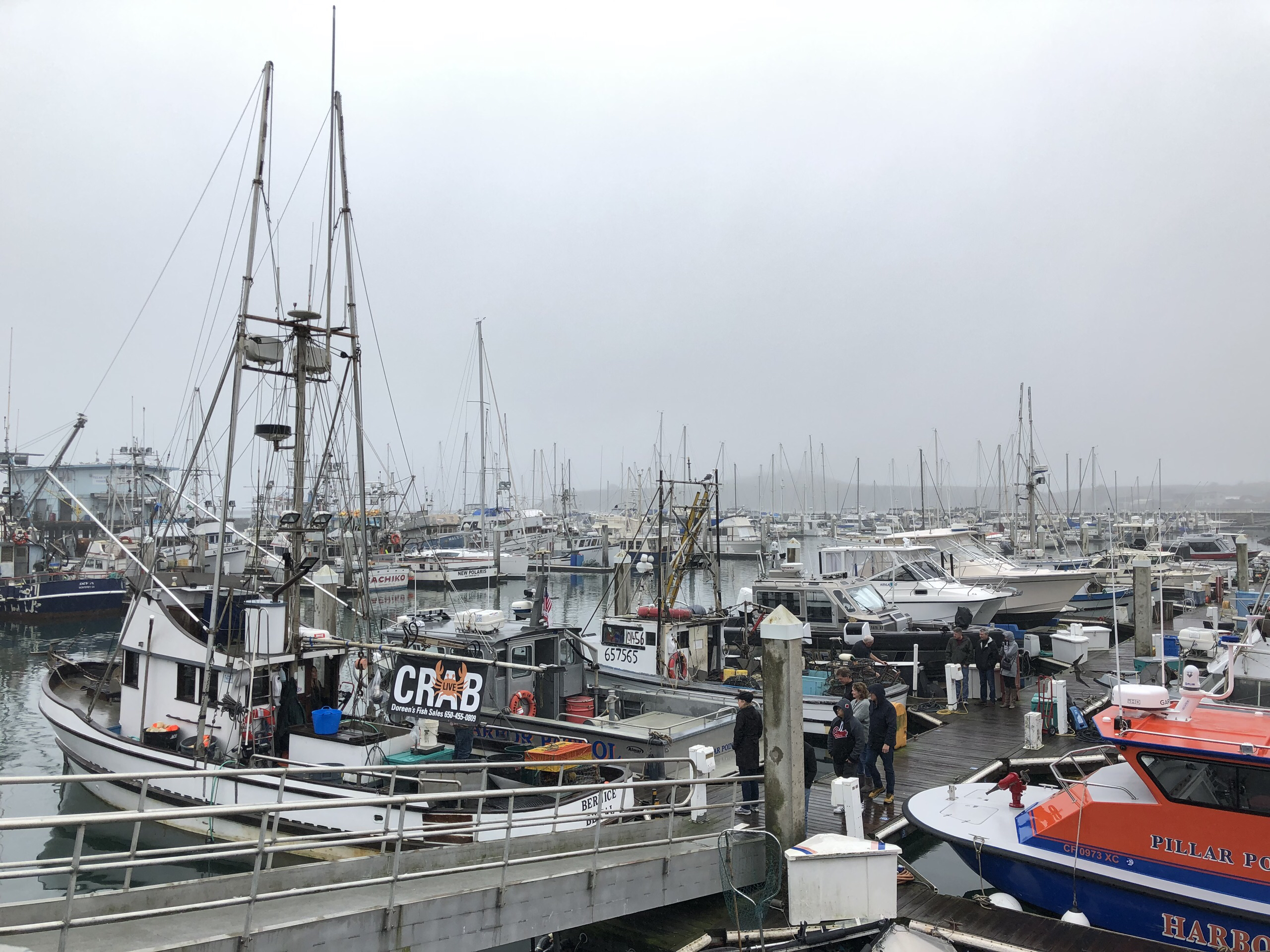 Pillar Point Harbor