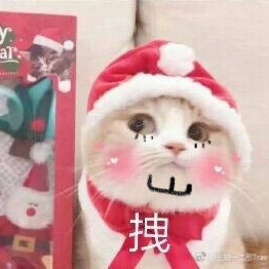 蚂蜂窝用