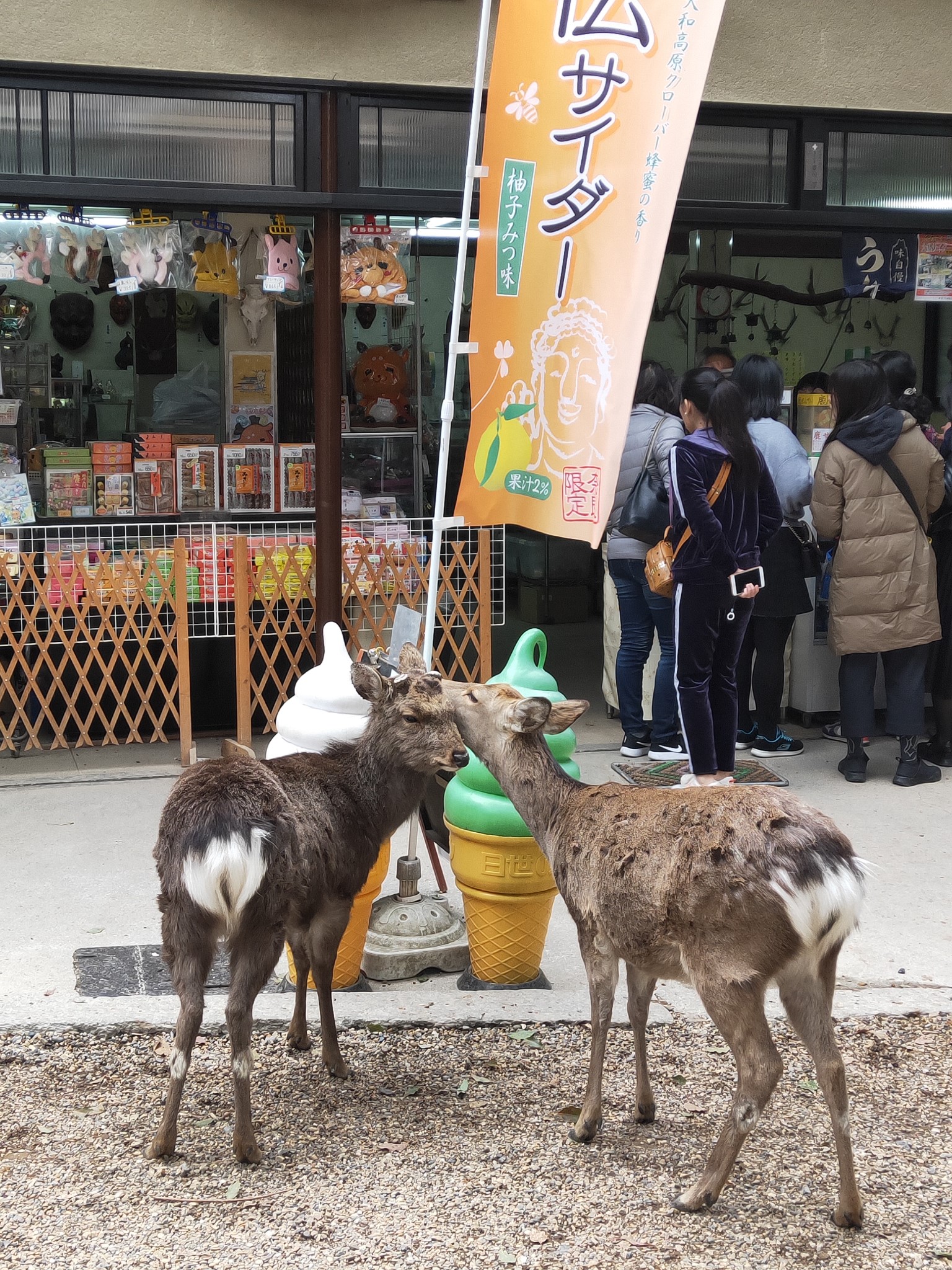 京都自助遊攻略