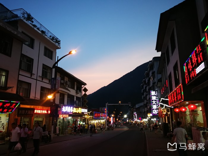 神龙架避暑住木鱼镇还是大九湖