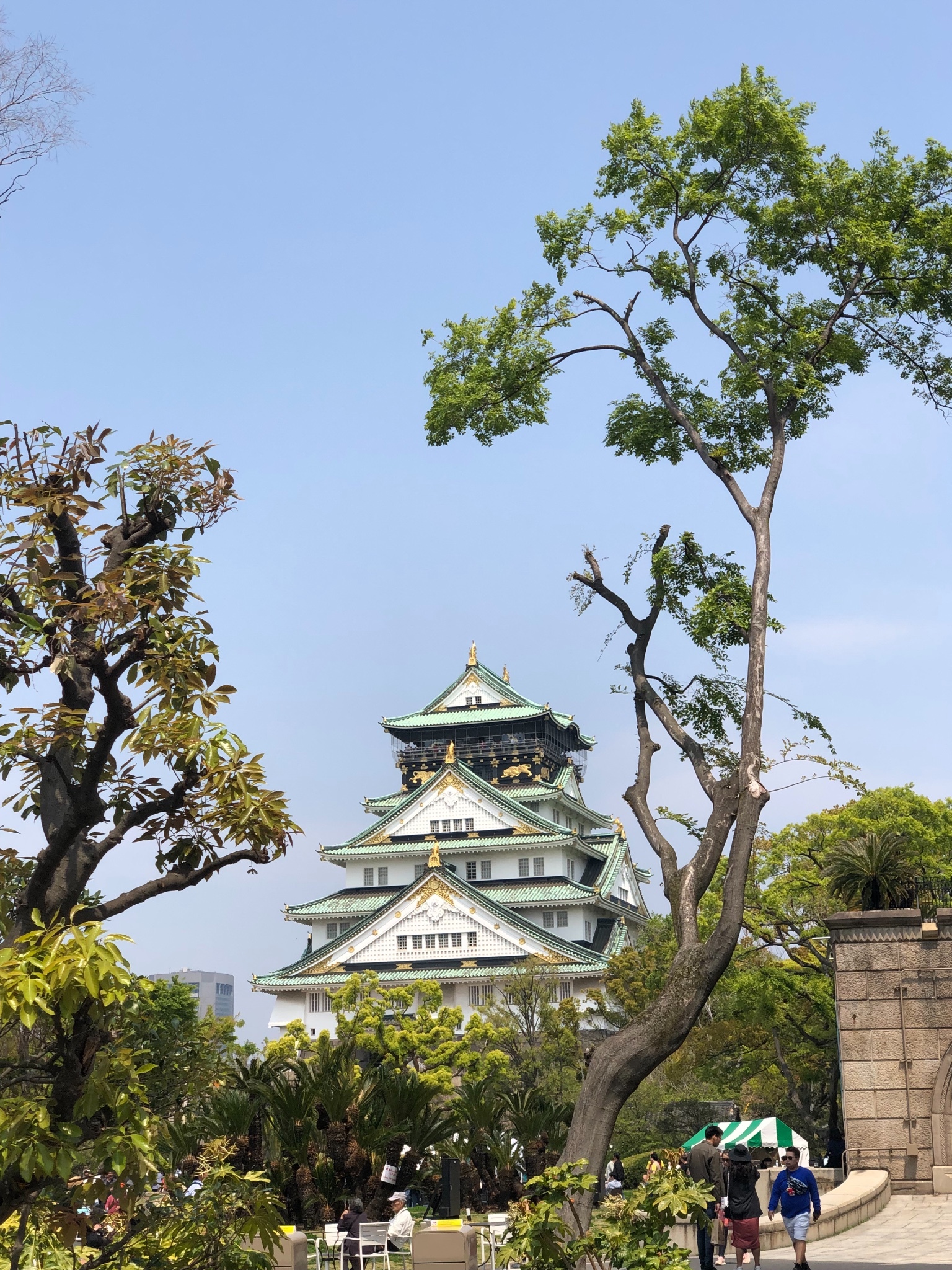 京都自助遊攻略