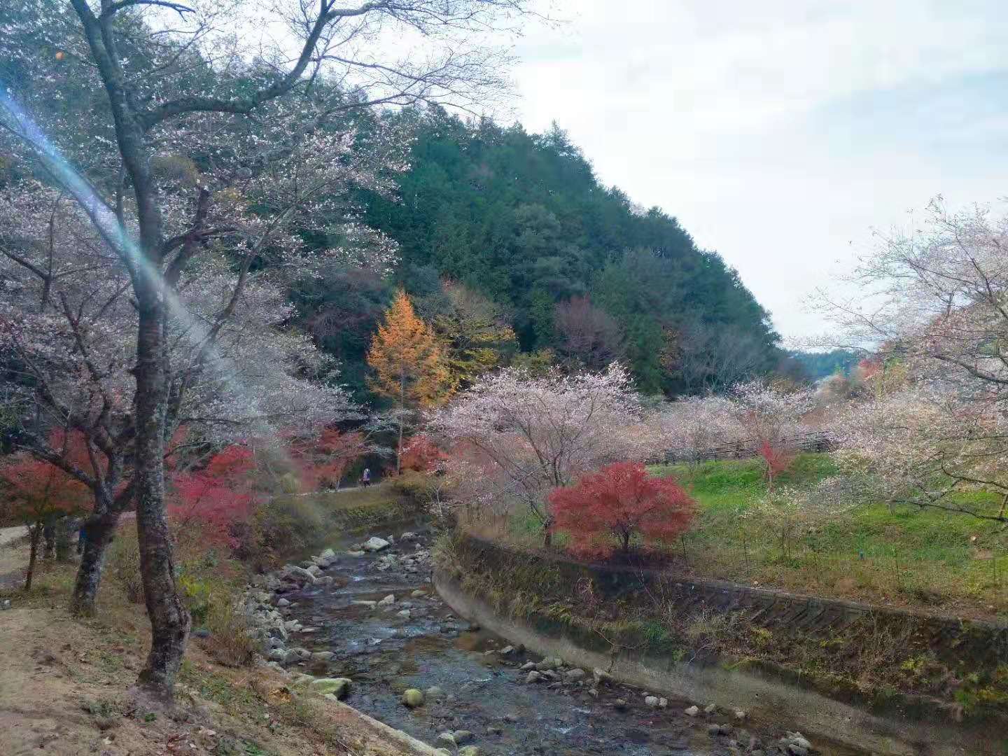 名古屋自助遊攻略