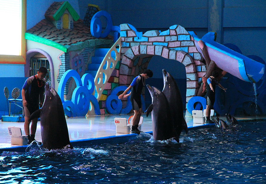 烟台蓬莱海底世界邀你与海洋生灵共舞!