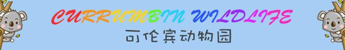 黃金海岸（澳大利亞）自助遊攻略