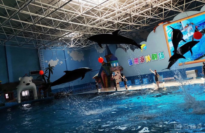 蓬莱海底世界旅游图片,蓬莱海底世界自助游图片,蓬莱海底世界旅游景点