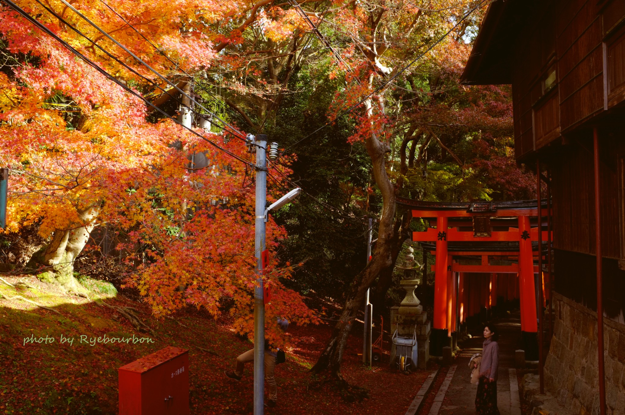 京都自助遊攻略