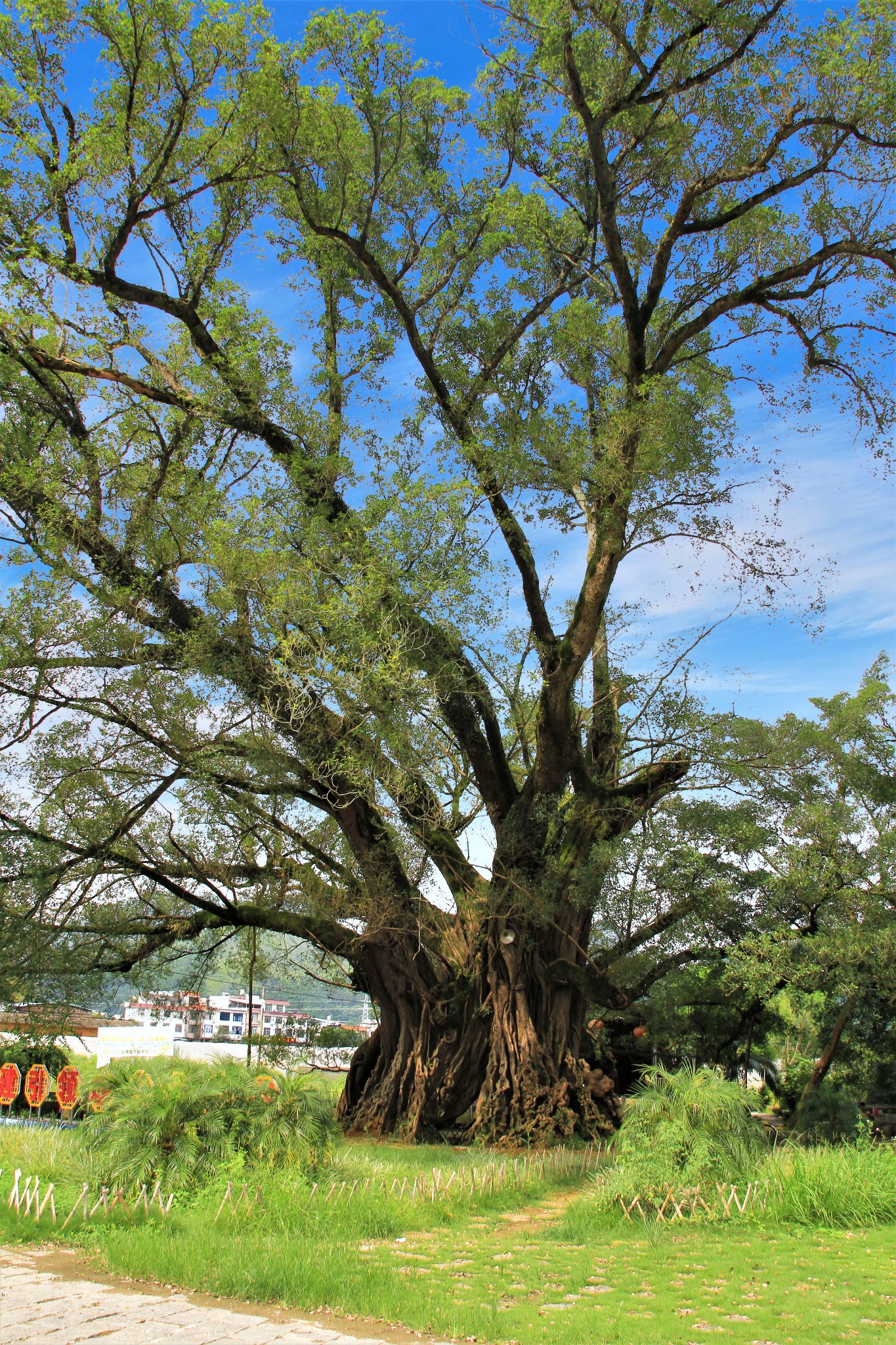 2022平乐县旅游攻略,平乐县自由行攻略,马蜂窝平乐县出游攻略游记