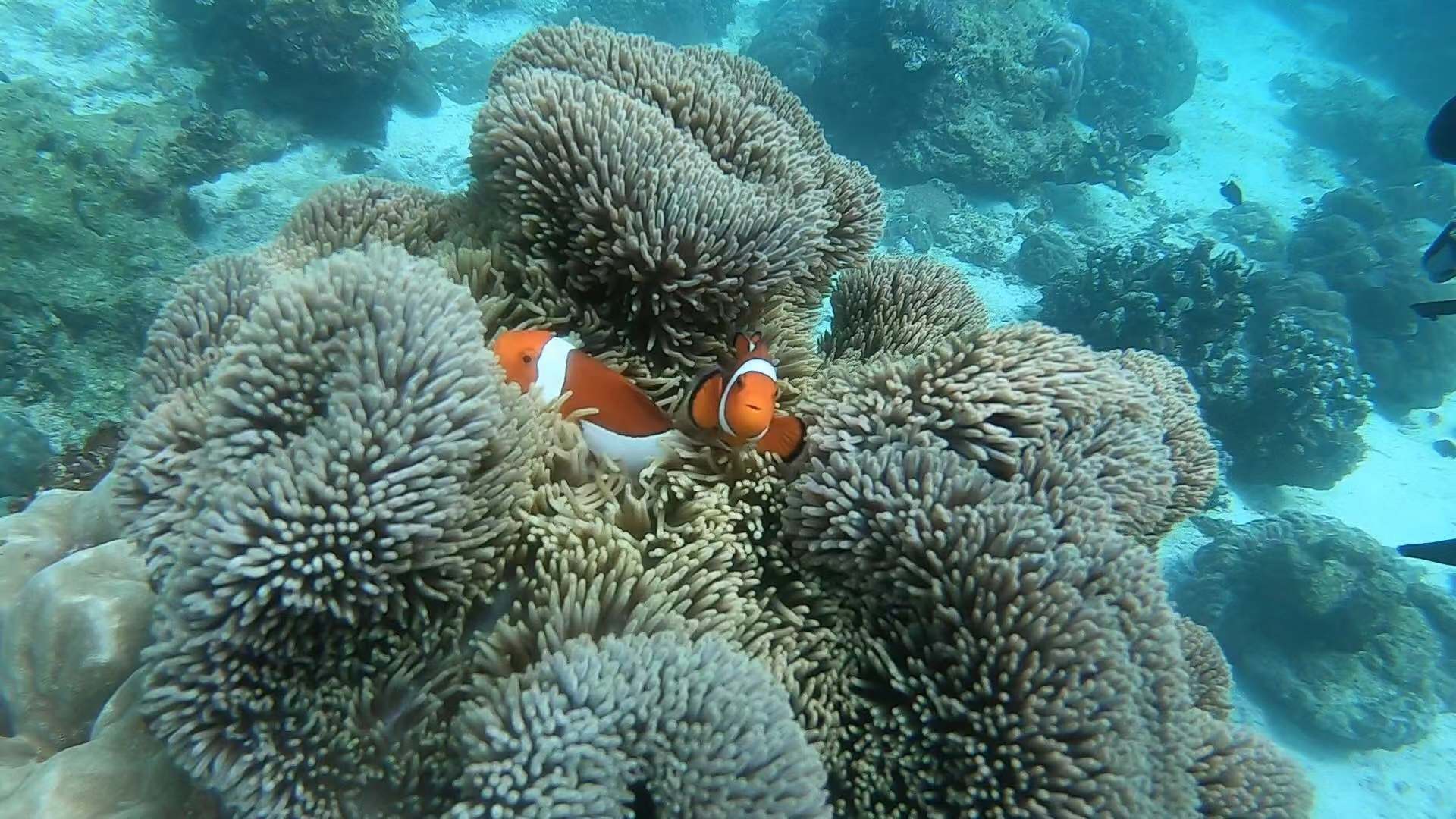 長灘島自助遊攻略