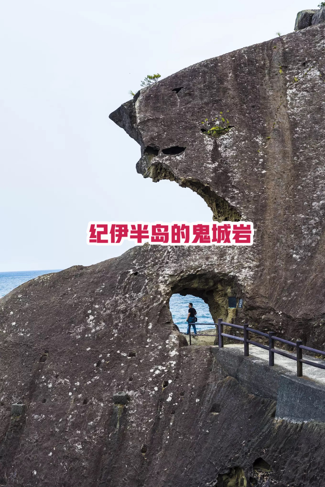 纪伊半岛的鬼城岩