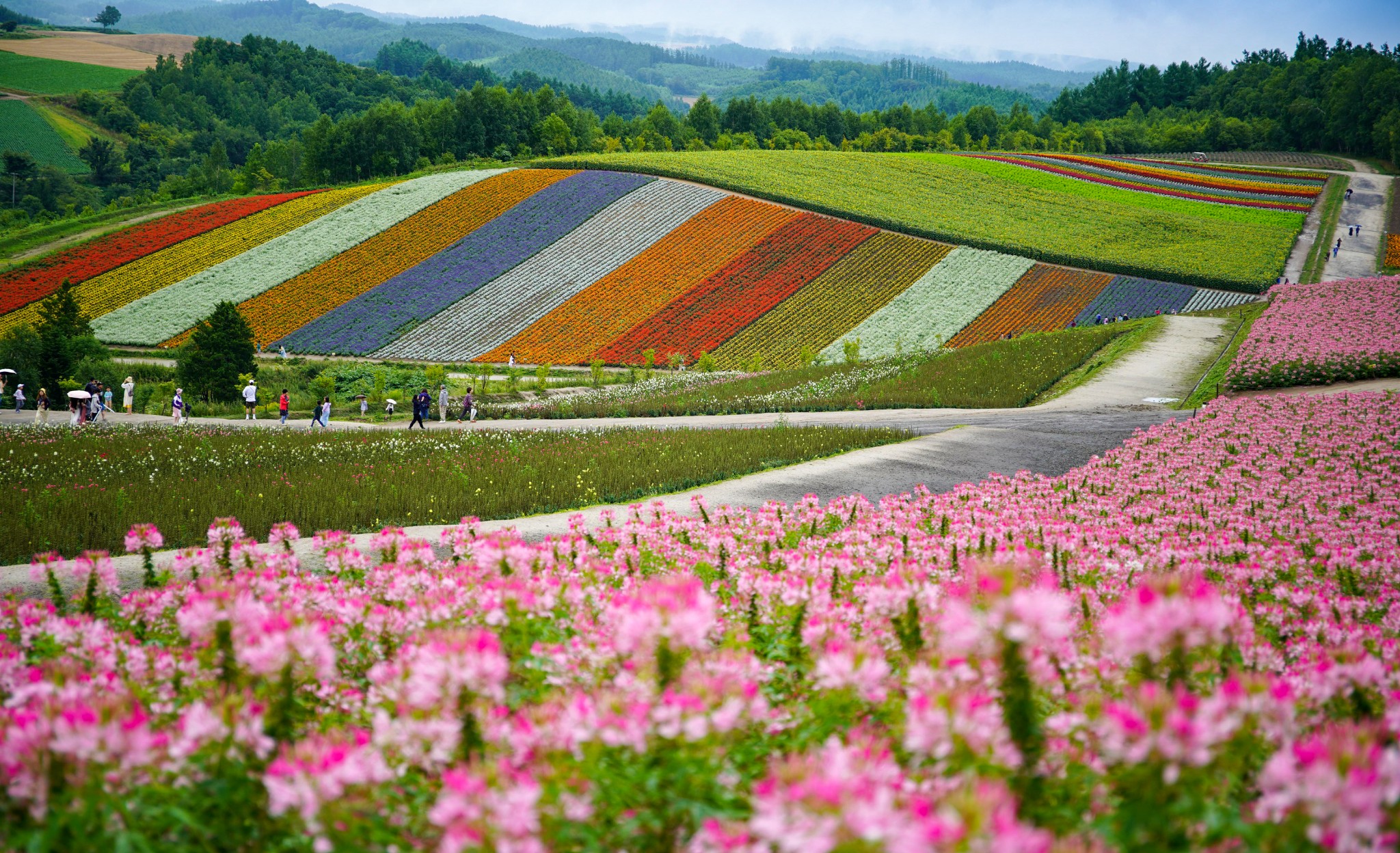 第2页北海道热门游记 北海道自助游游记 北海道旅游热门游记 马蜂窝