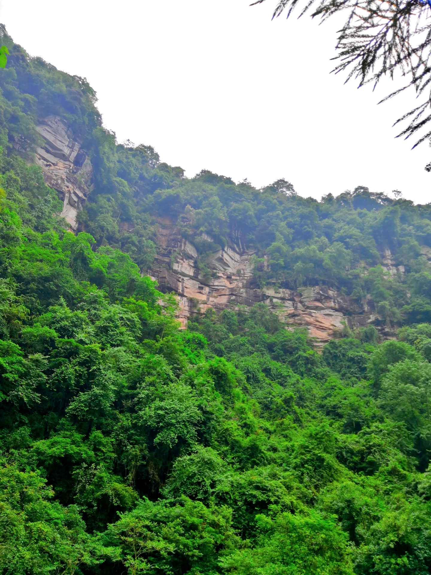 雅安碧峰峽遊記 上裡古鎮,蒙頂山路線攻略,旅遊攻略 - 馬蜂窩