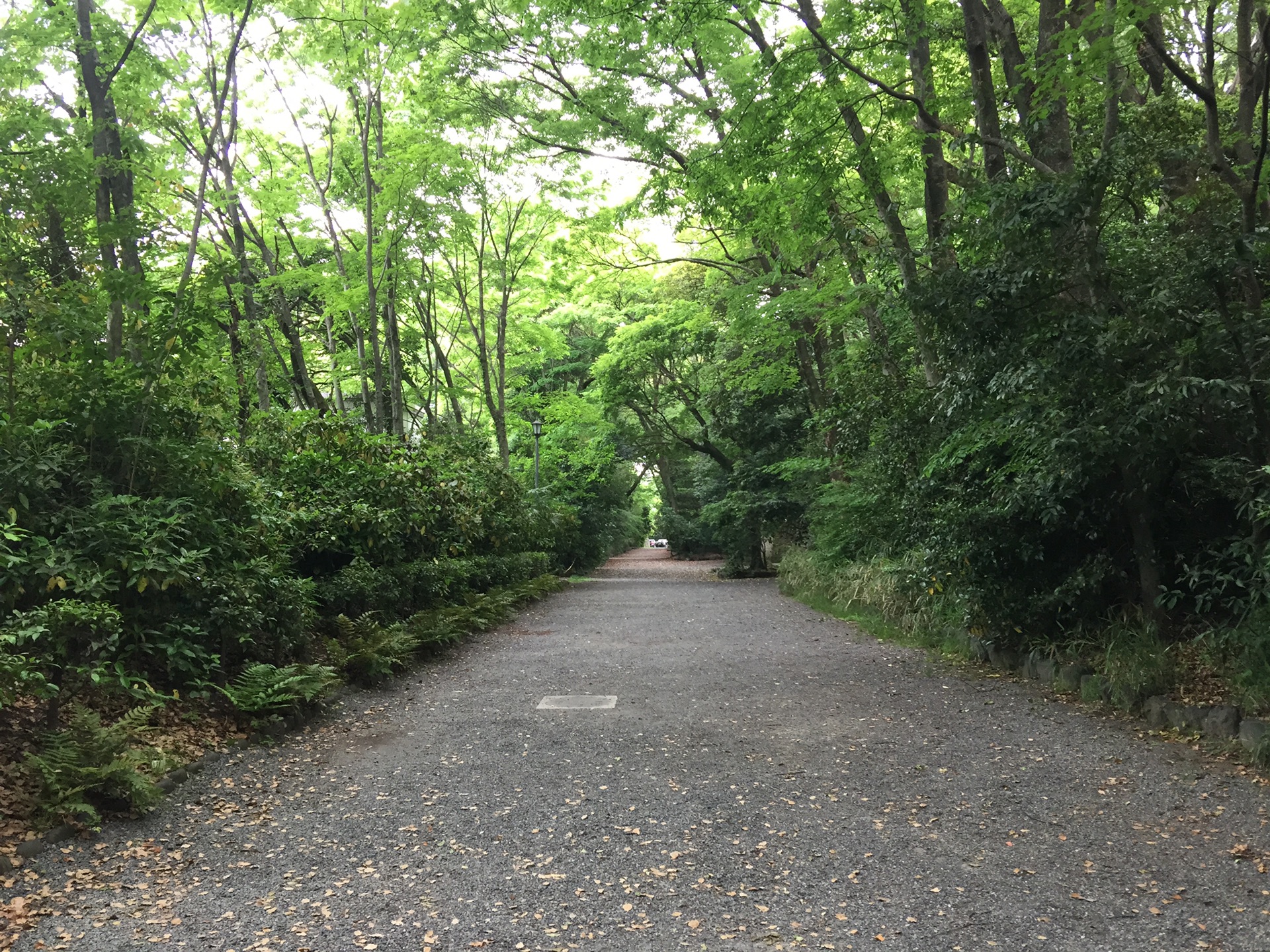 名古屋自助遊攻略