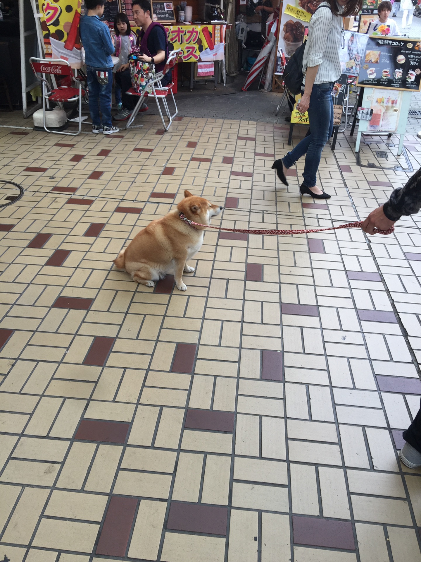 名古屋自助遊攻略