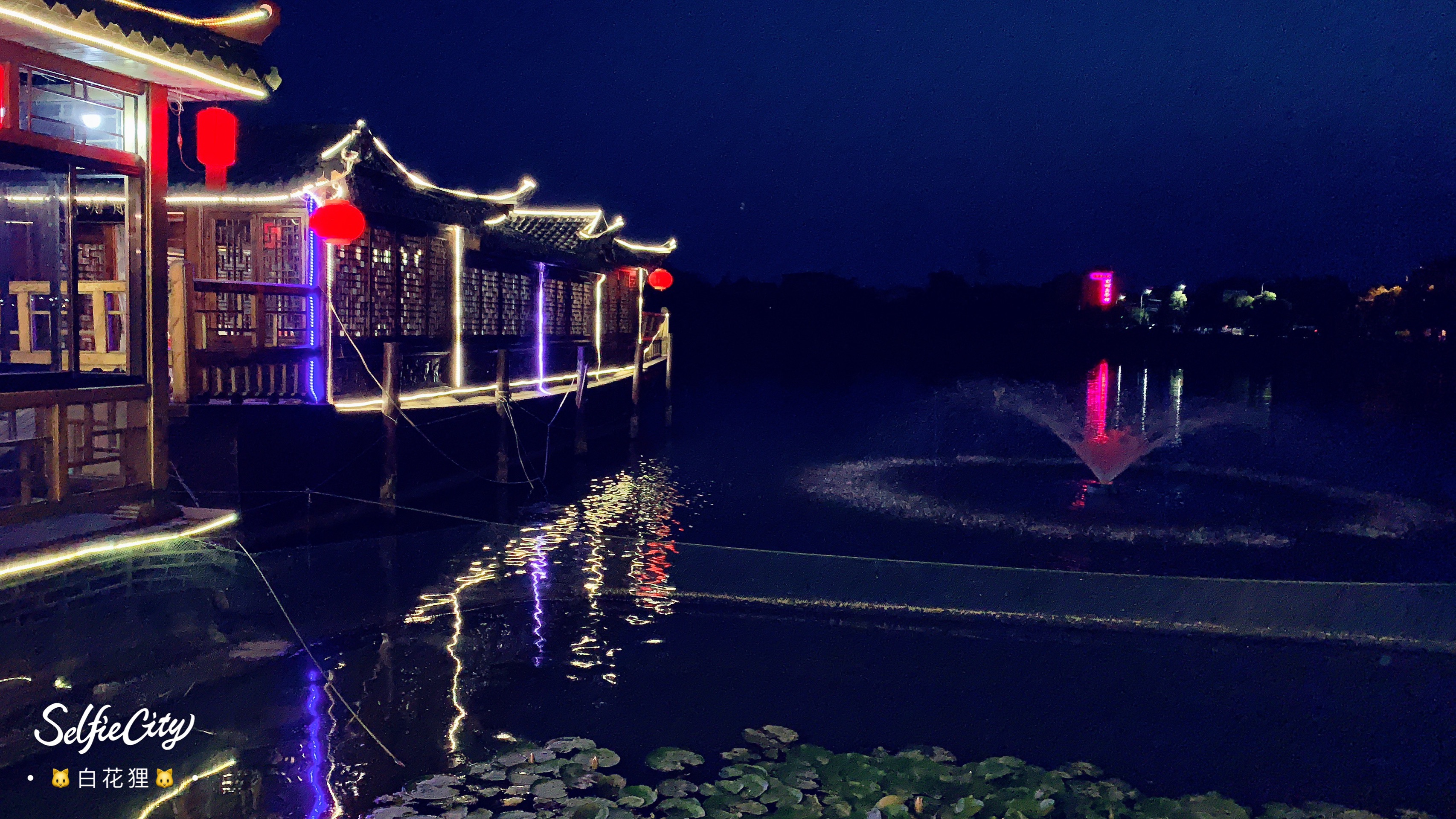 淮阳美食-东湖鱼餐馆