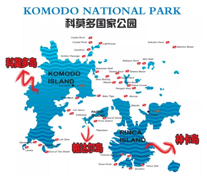 科莫多在哪儿?