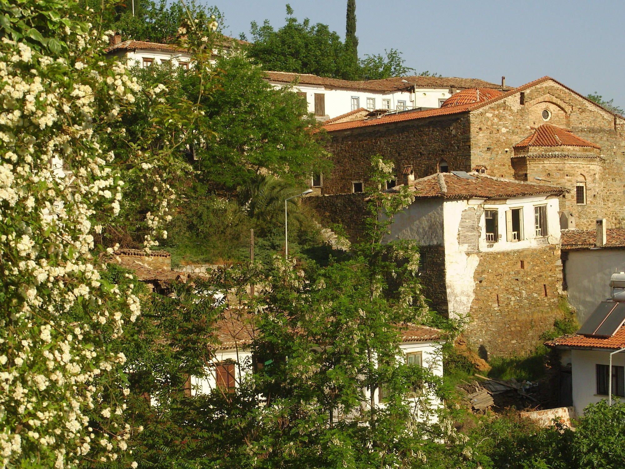 无花果橄榄和葡萄特雷斯斯林思公寓 Terrace Houses Sirince - Fig, Olive and Grapevine