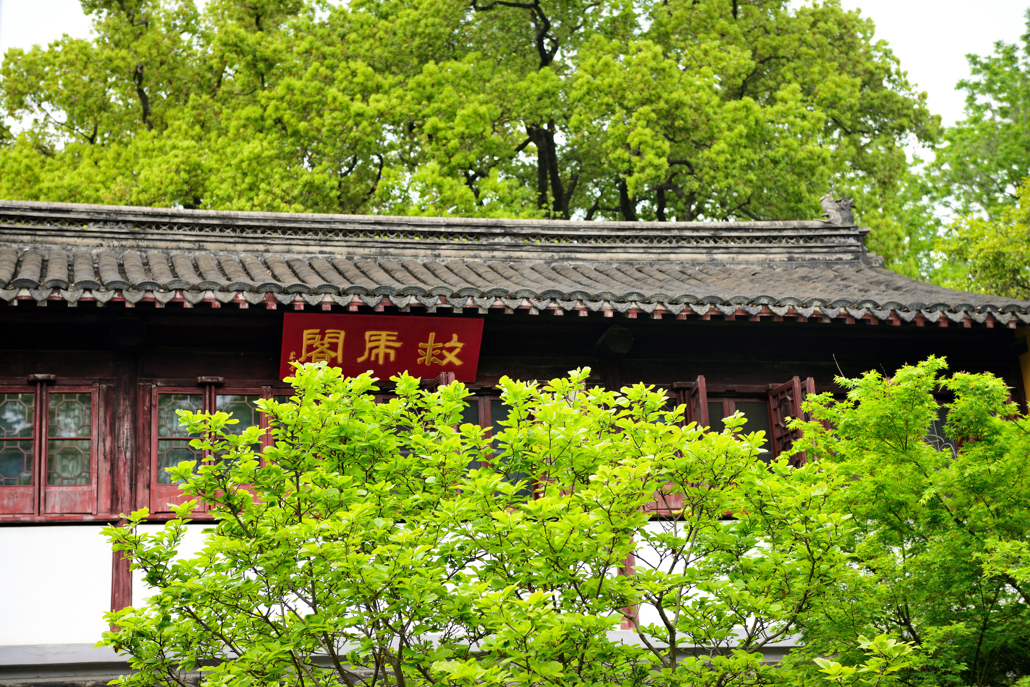 茶后仙游常熟之行福兴禅寺内速览