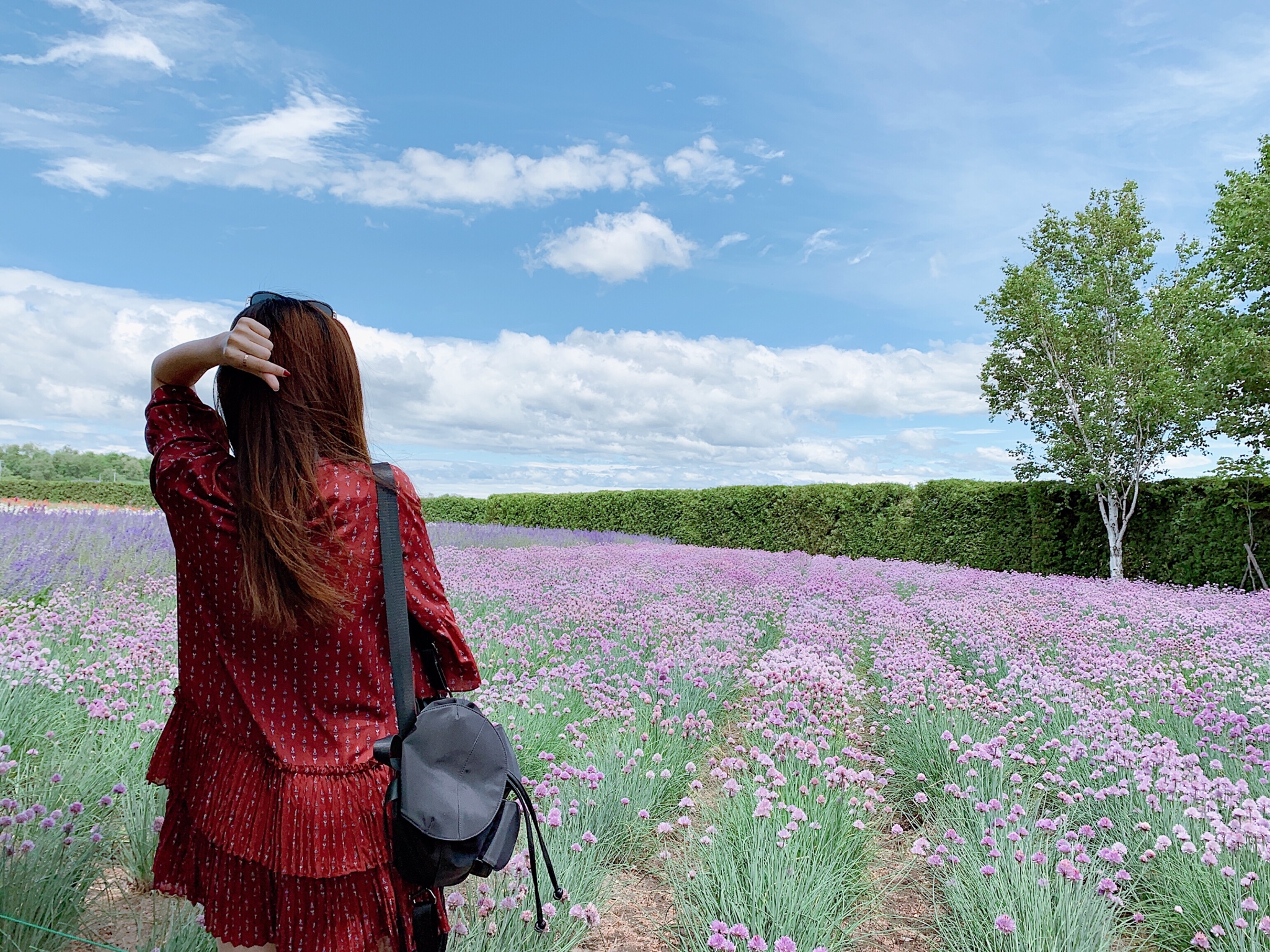 北海道自助遊攻略