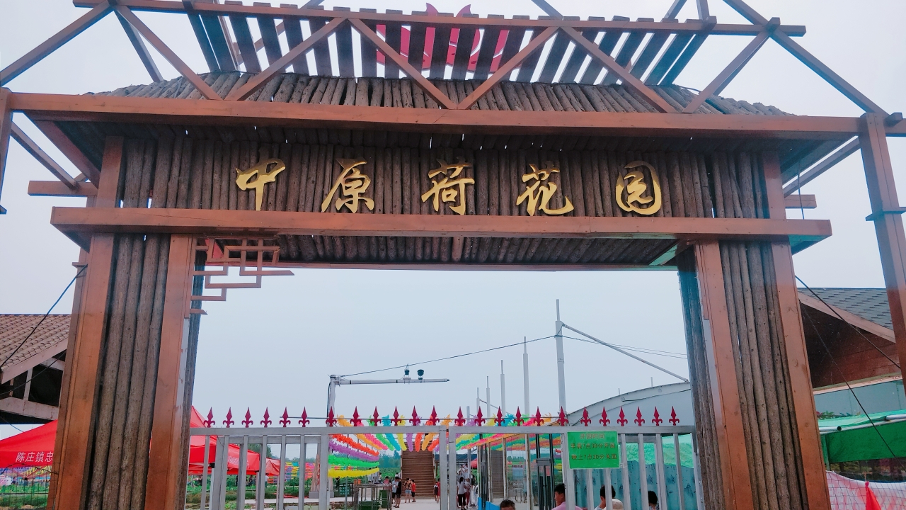 鹤壁出发看濮阳范县的荷花园