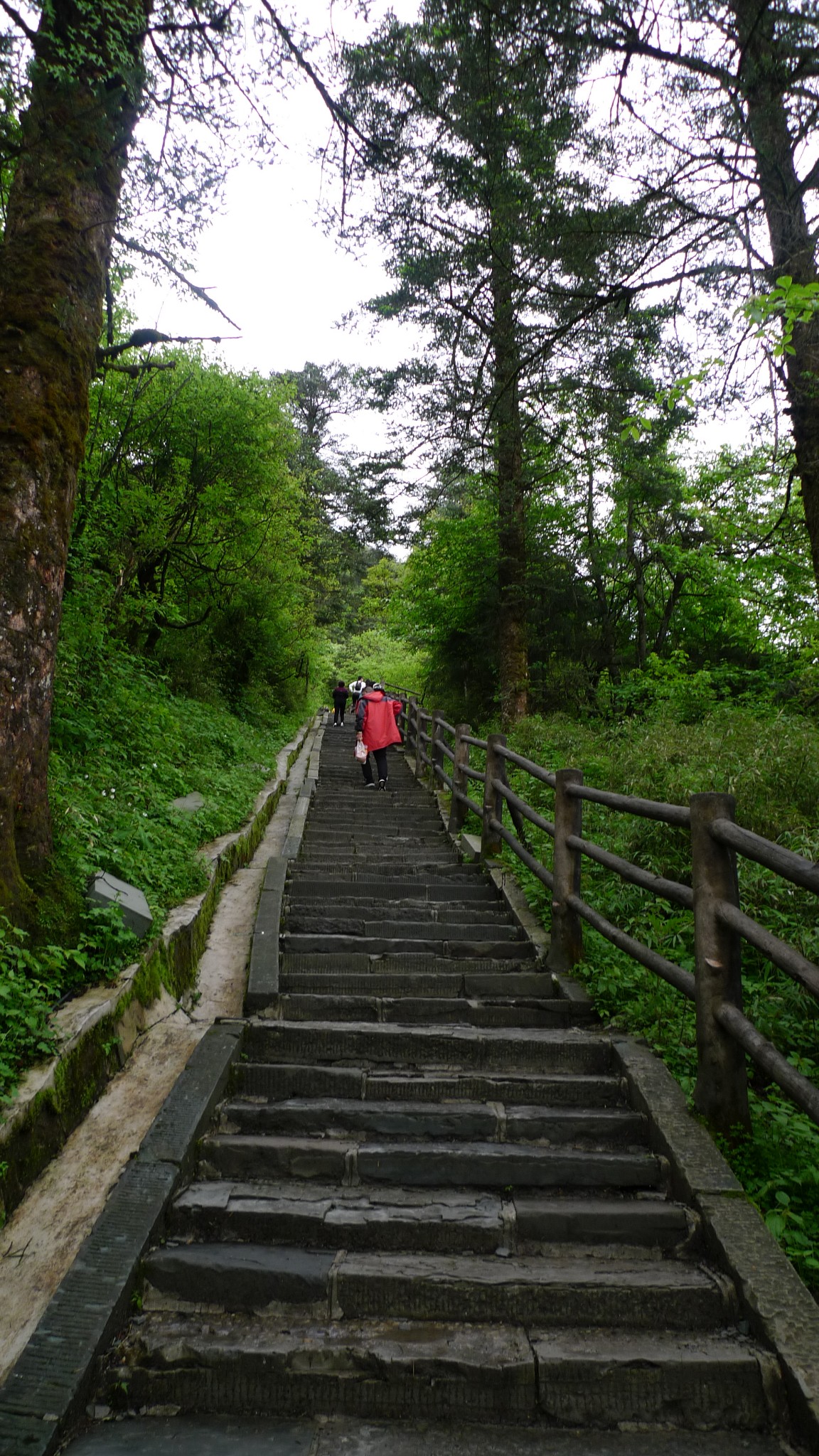 峨眉徒步线路真实公里数参考 一天登顶 四天八十公里详拍峨眉山