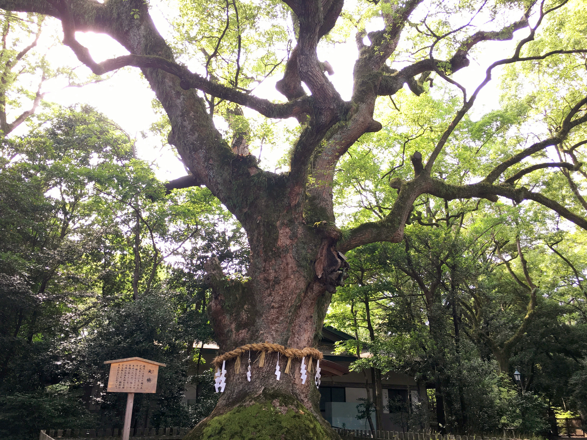 名古屋自助遊攻略