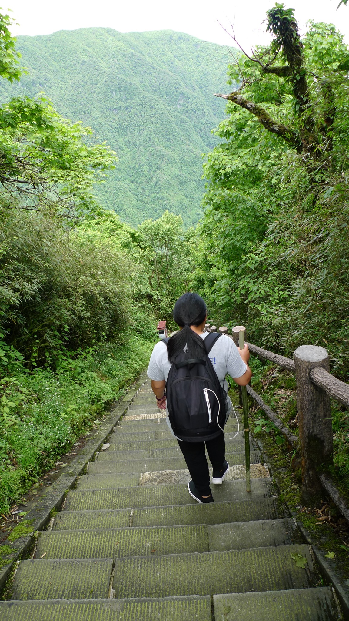 峨眉徒步线路真实公里数参考 一天登顶 四天八十公里详拍峨眉山