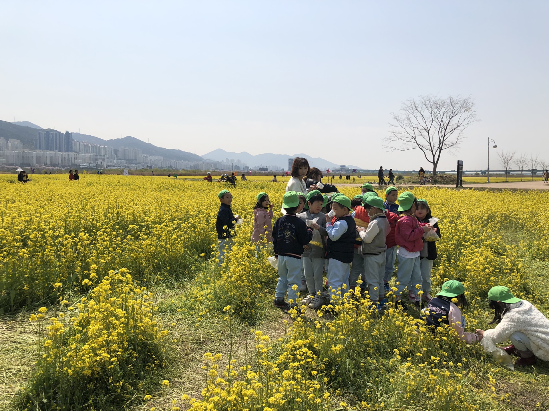 釜山自助遊攻略