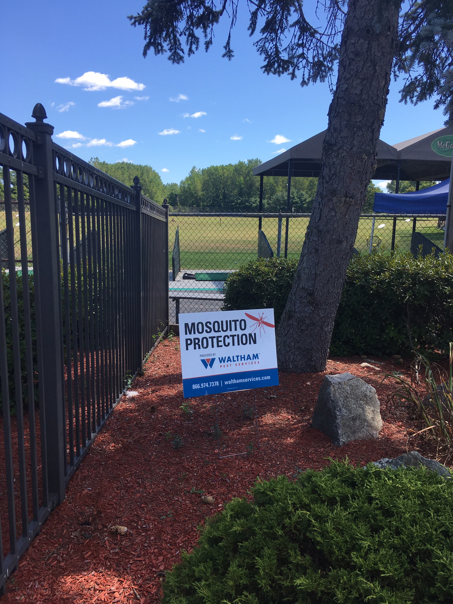 诺福克娱乐-McGolf