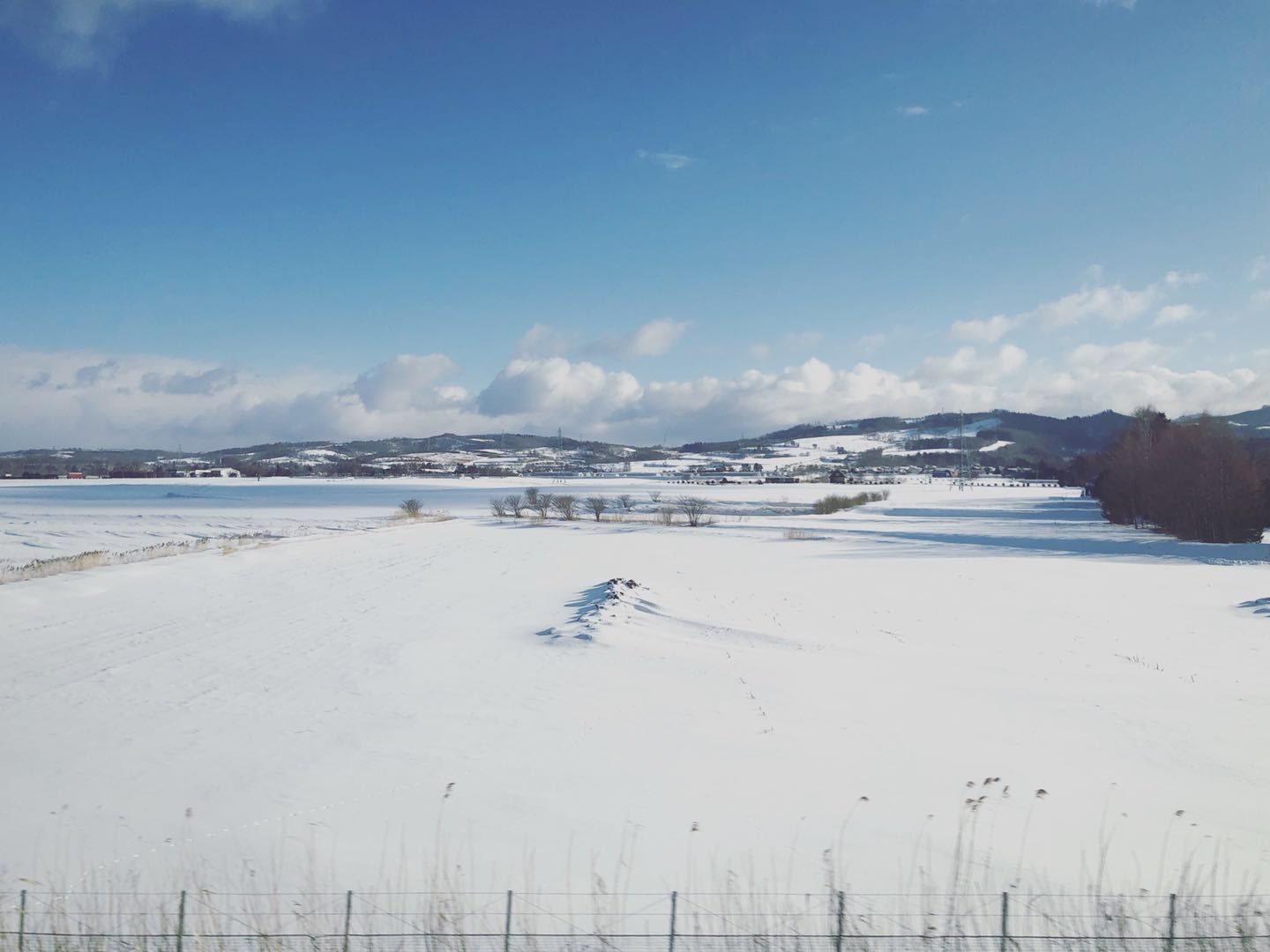 北海道自助遊攻略