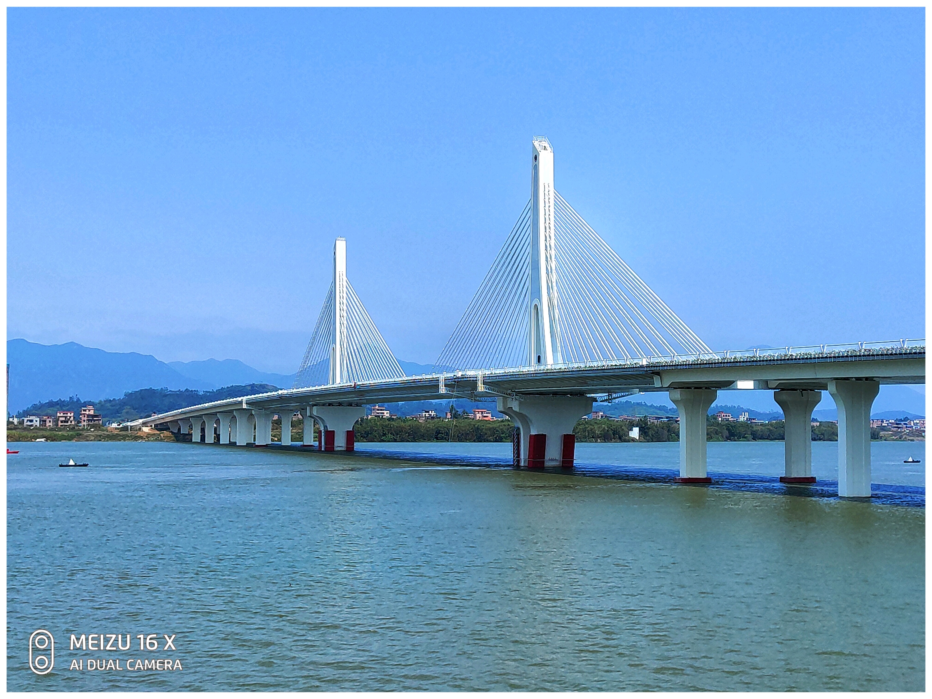 清远洲心大桥介绍图片