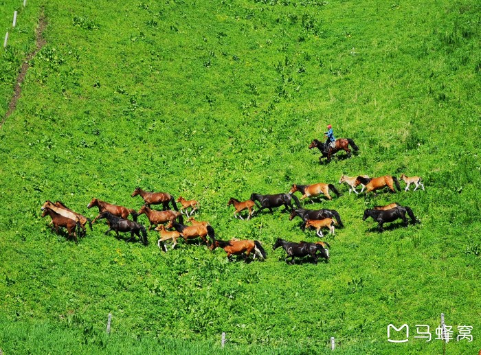 自驾独库公路，有什么注意事项？路况怎么样？