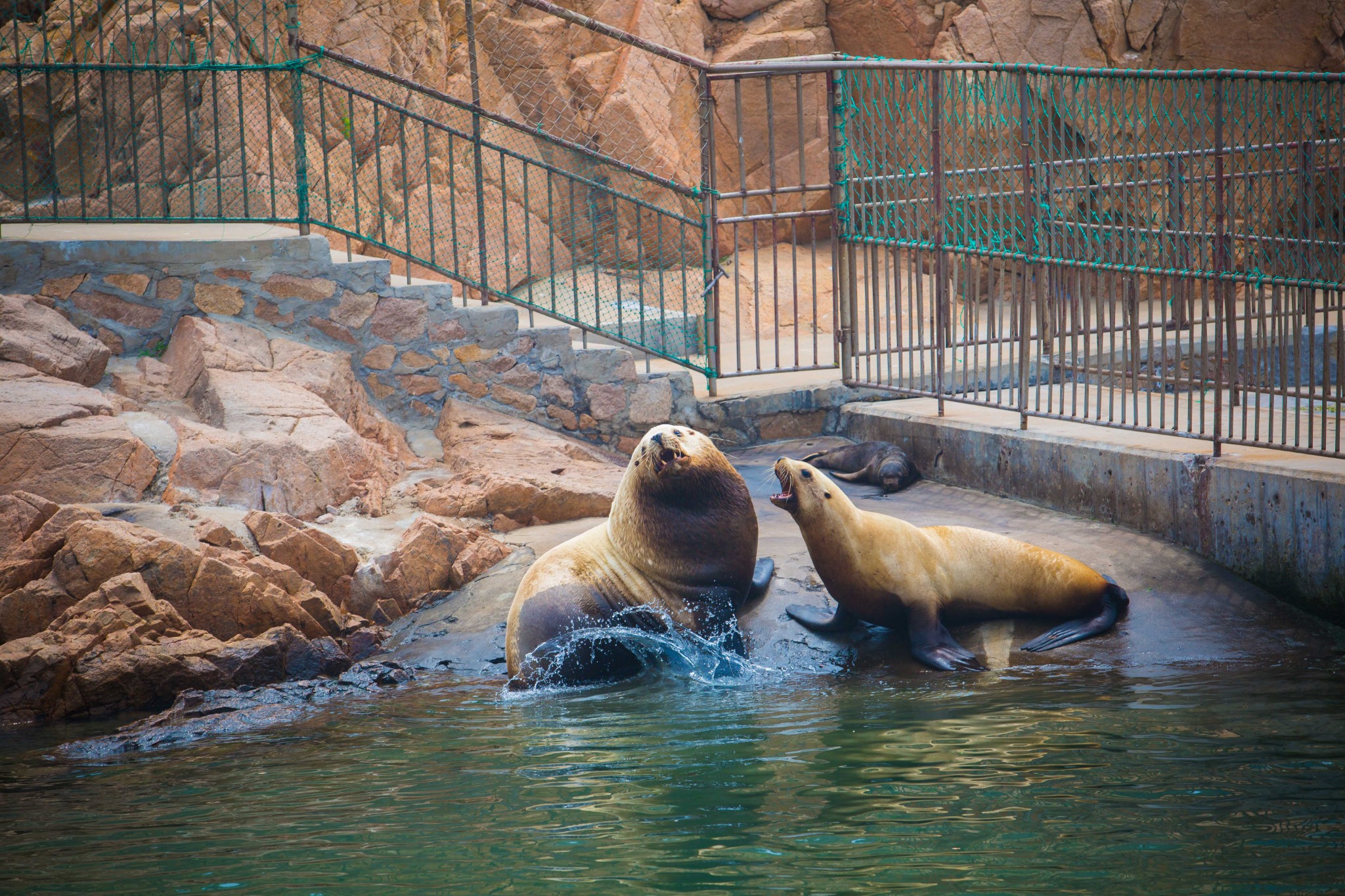 海洋馆为动物园最后一个园区,是动物园最具特色的园区.