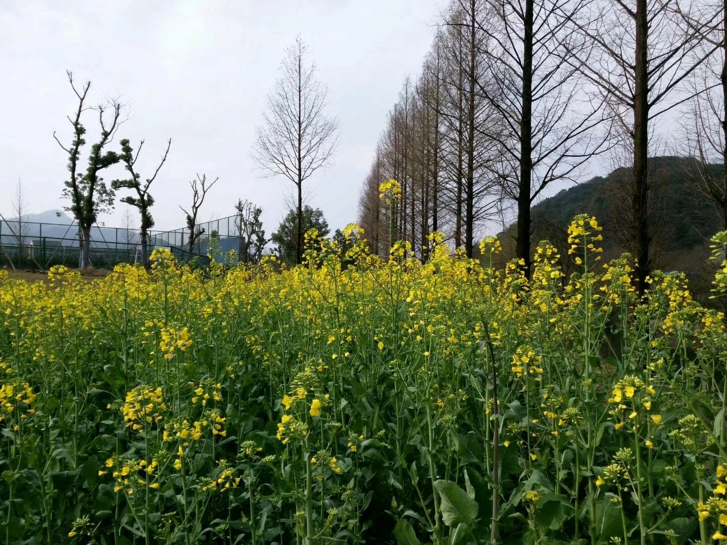 东穆坞村