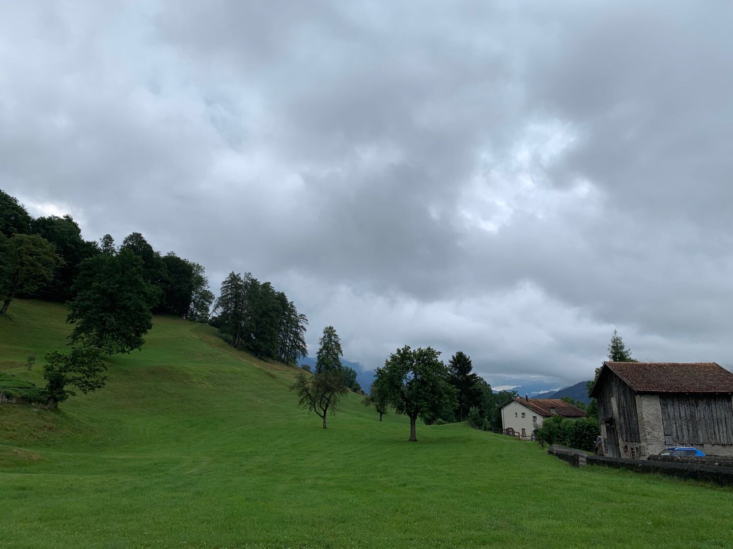 达沃斯美食-Central Davos
