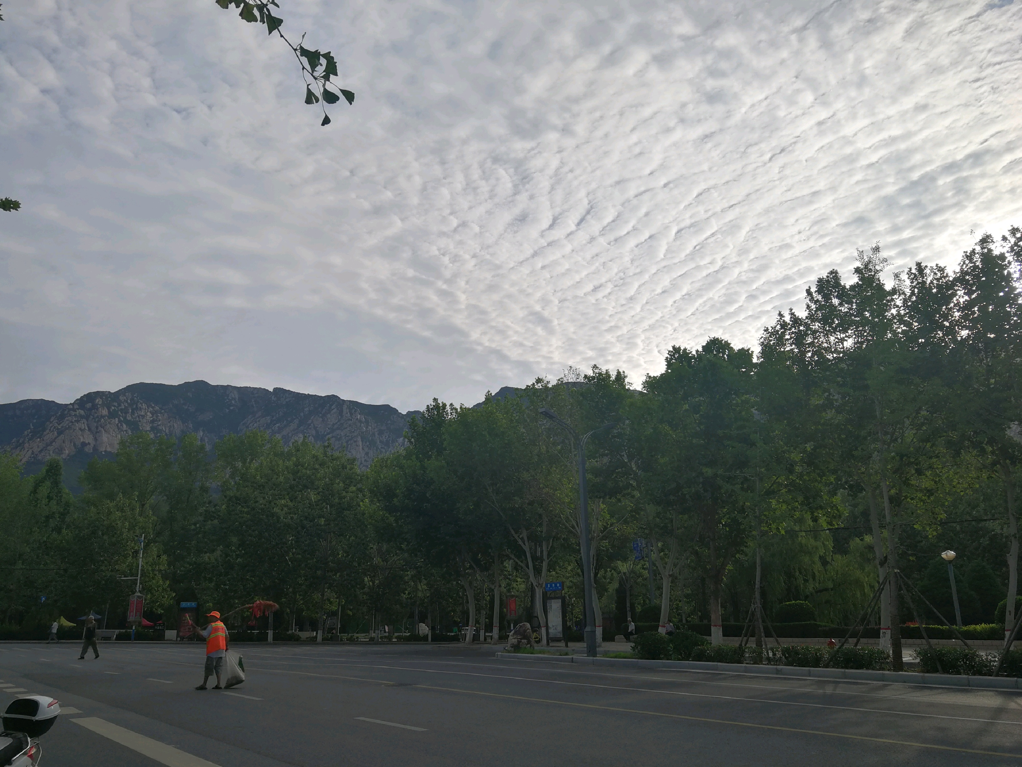 少林兄弟削面馆