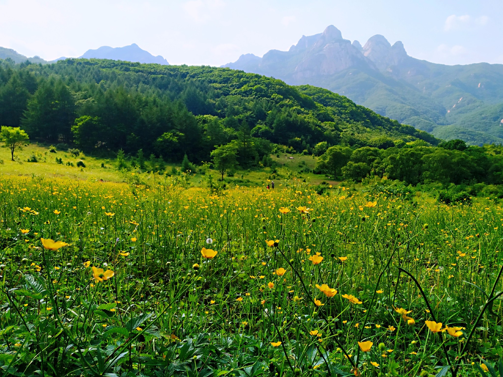 驴行天下之端午自驾凤城黄花甸子,弟兄山