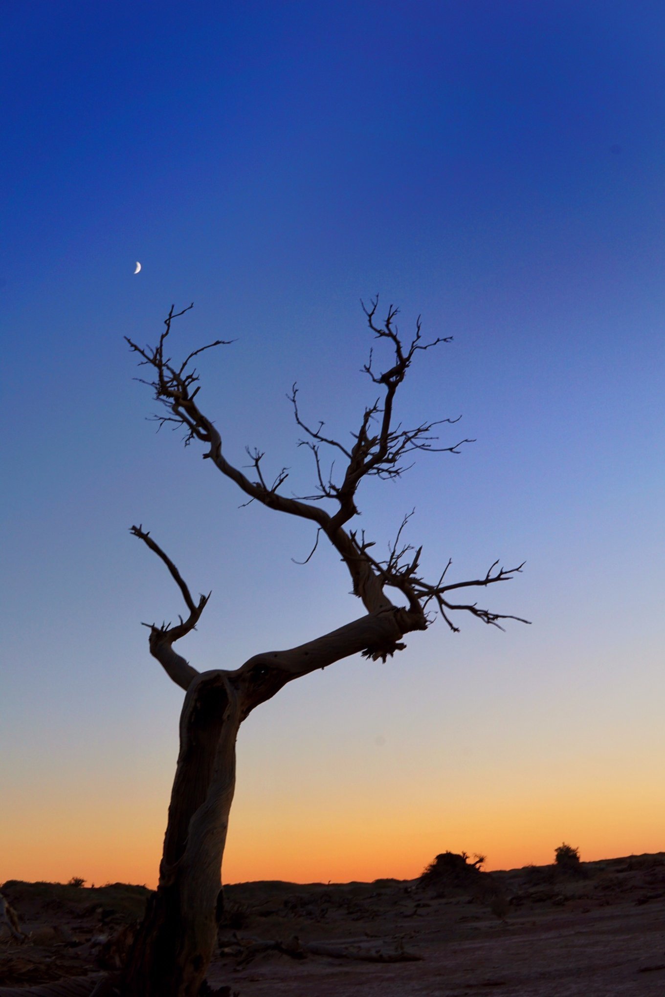 苍茫的天涯是我的爱 — 记西北九日环线,青海湖,敦煌,张掖