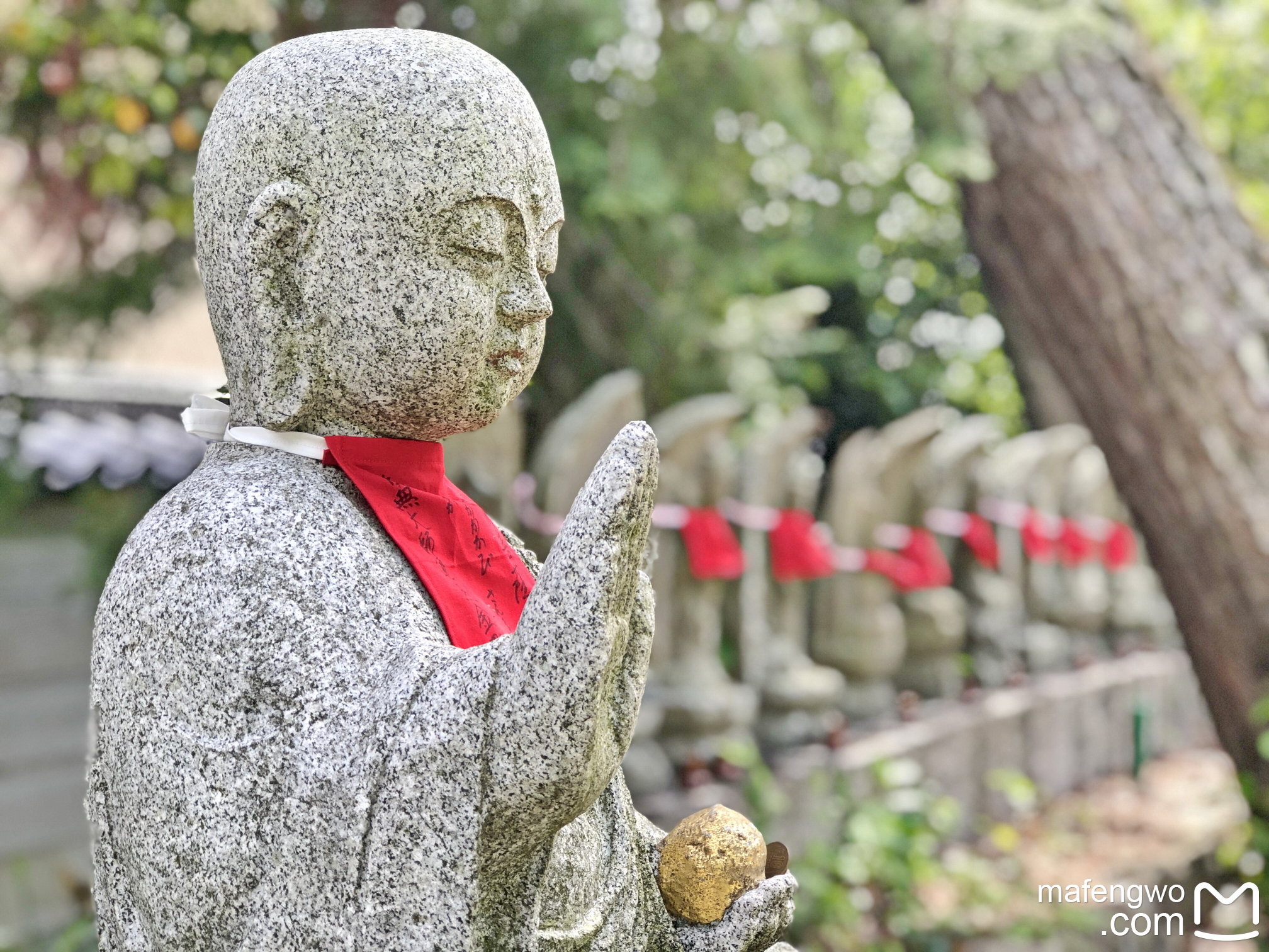 西大寺攻略 西大寺门票 地址 西大寺景点攻略 马蜂窝