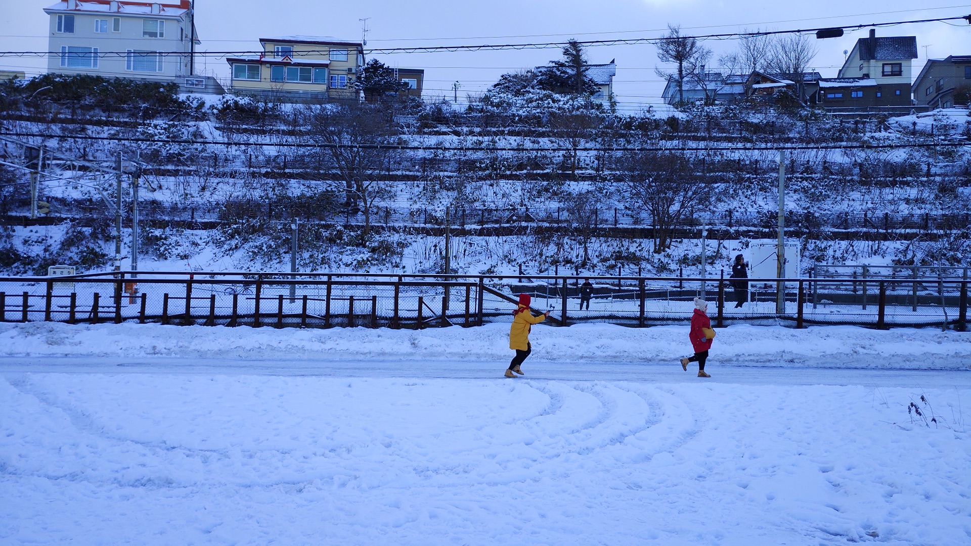 北海道自助遊攻略