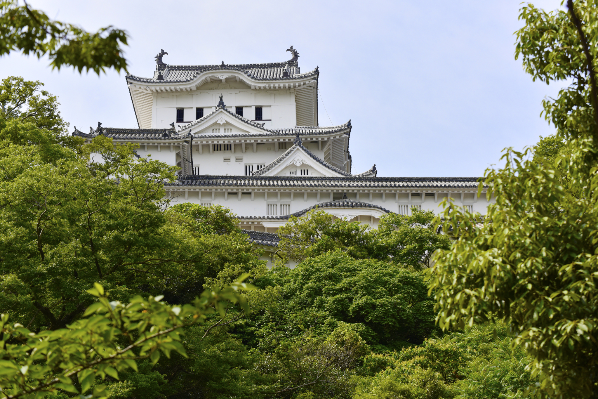 神戶自助遊攻略