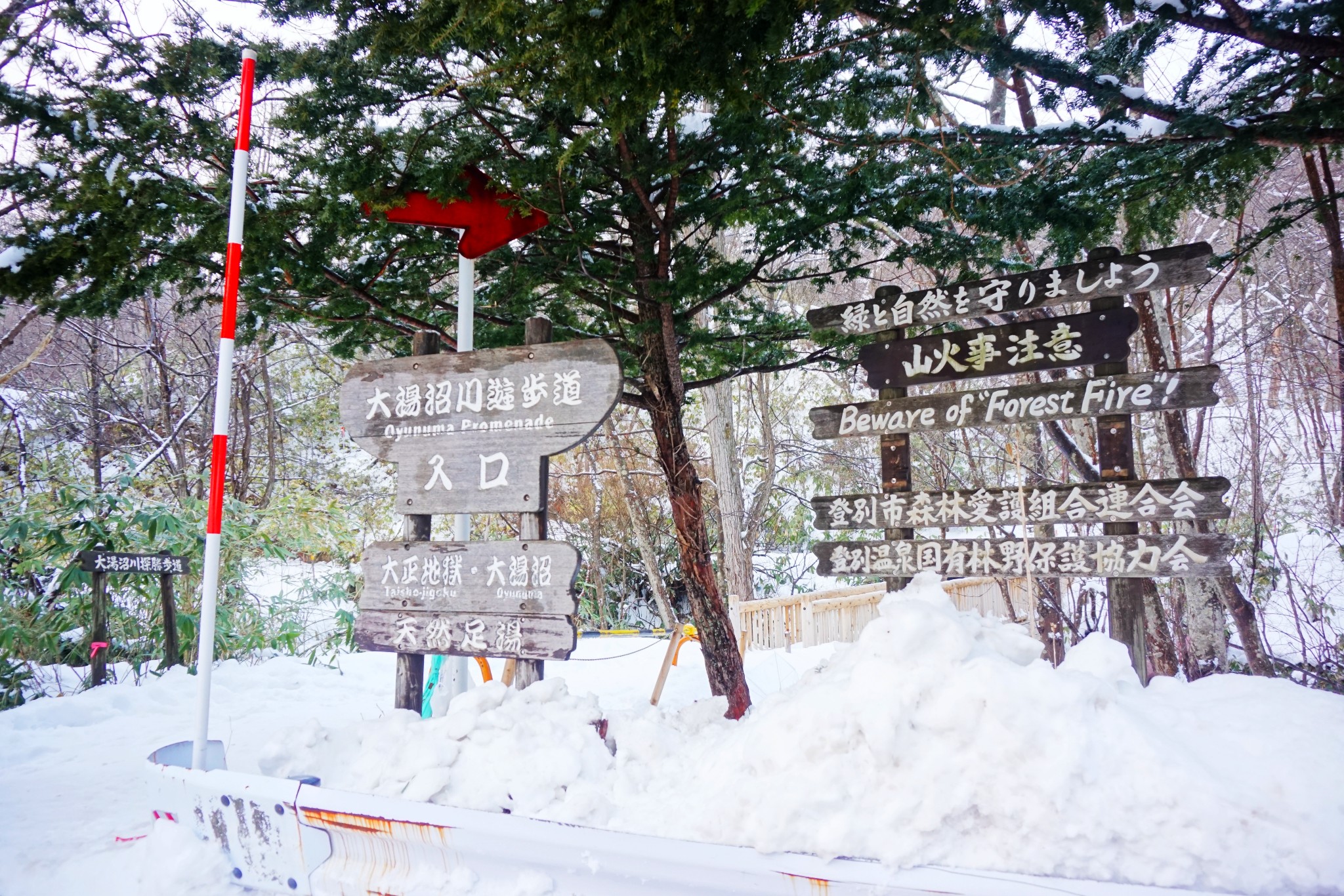 北海道自助遊攻略