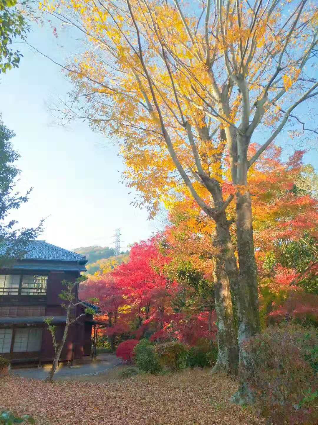 名古屋自助遊攻略