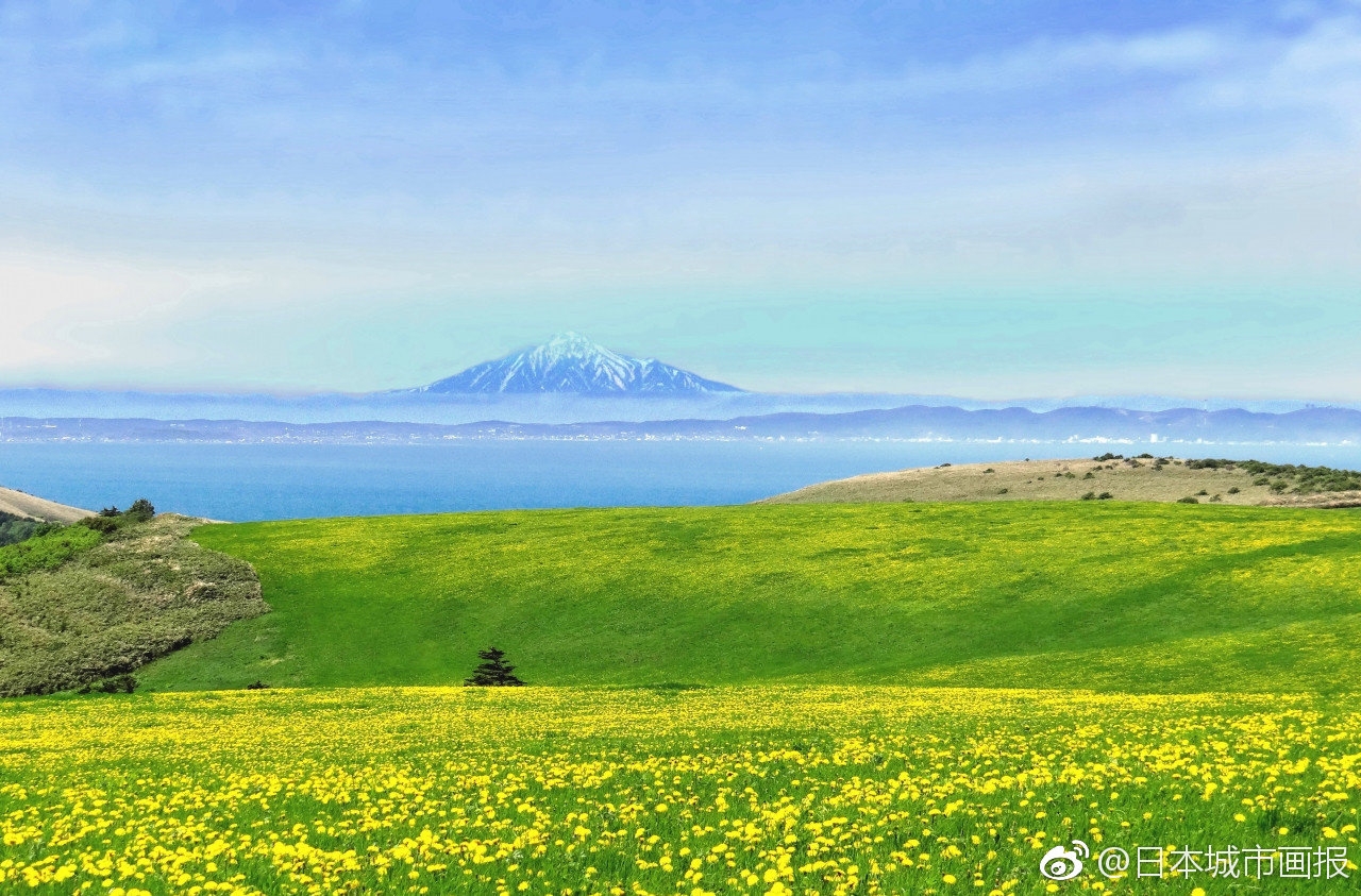 北海道自助遊攻略