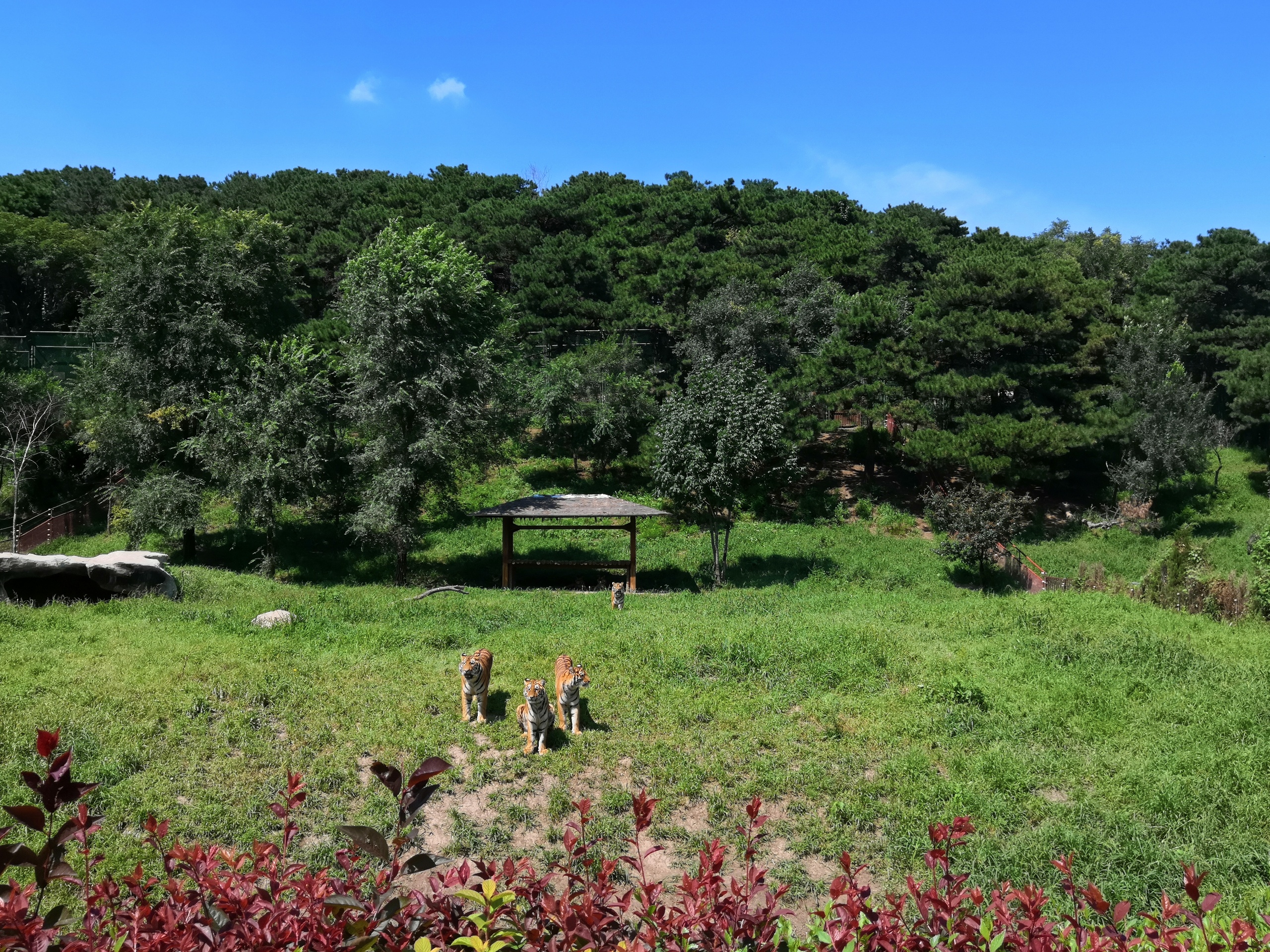 沈阳冰川动物乐园