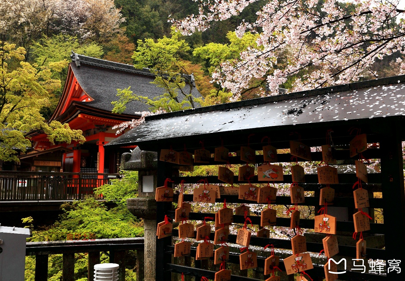 樱花の旅~日本7日(5):京都清水寺,伏见稻荷大社,奈良春日大社,大阪