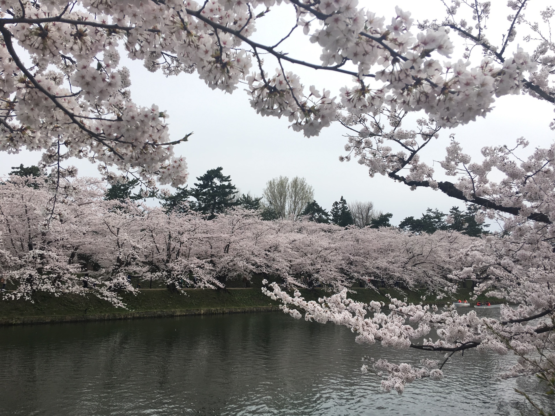 青森縣自助遊攻略